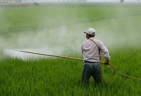 なぜブロードリーフ除草剤は芝生のケアに不可欠ですか?