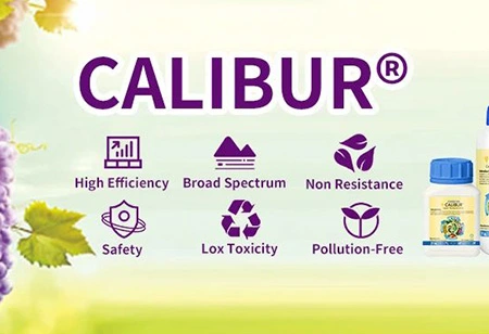 雨季に作物の病気を防ぐ方法