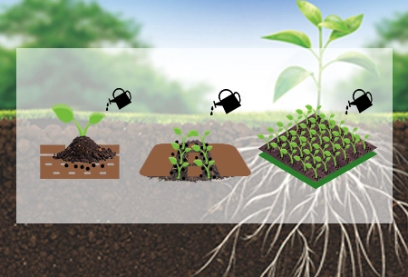 Arphaゴールド®-持続可能な農業のために有益な菌類を利用する