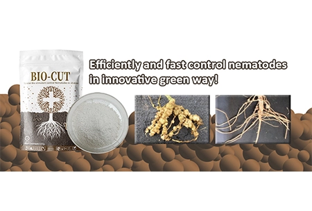 革新的なグリーンな方法で効率的かつ迅速に線虫を制御!