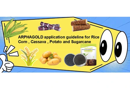 米、トウモロコシ、キャッサバ、ジャガイモ、サトウキビのARPHAGOLDアプリケーションガイドライン?