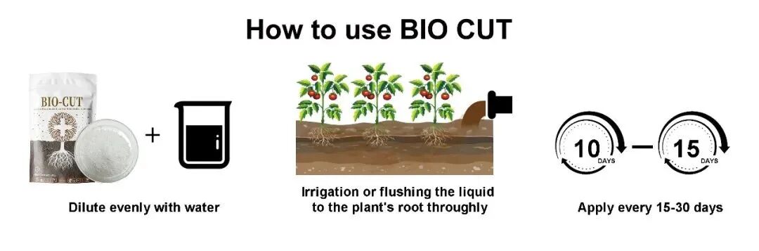bio-cut-4.jpg