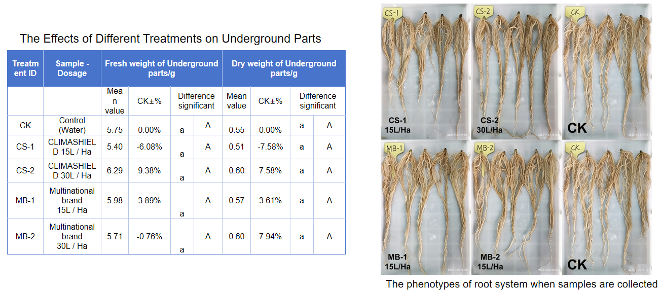 the-effects-of-different-treatments-on-underground-parts.png