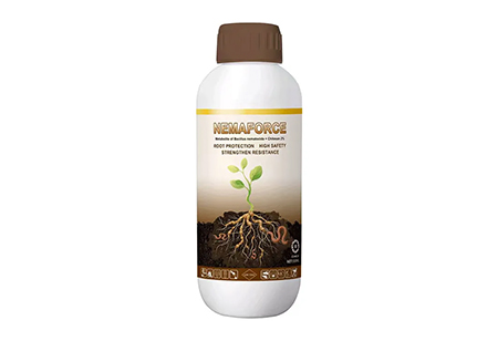 How to Combine Biological and Chemical Tools for Root-Knot Nematode Management